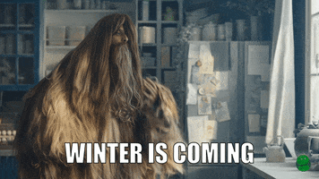 cetelemfr hair winter cold yeti GIF