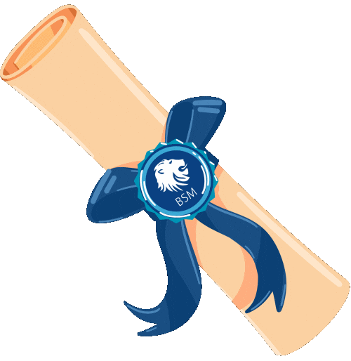 Britishschoolmanila Sticker by BSM