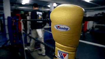 Boxing Glove GIF