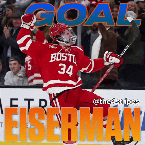 New York Islanders Goal GIF