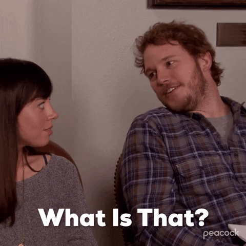 What Is That Season 3 GIF by Parks and Recreation - Find & Share on GIPHY