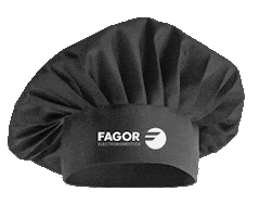 FagorElectrodomestico Sticker