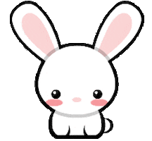 transparent cute rabbit bunny aww