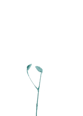 Vert Green Vertical Gardens Sticker