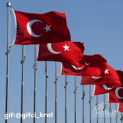 Gifgifcikral GIF