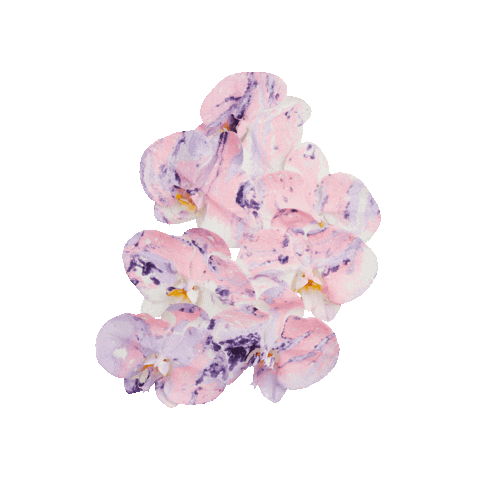 ACID.FLWRS Sticker