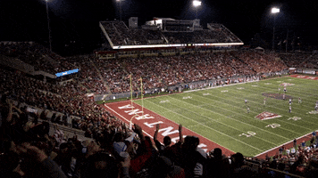 Fcs Football GIF by Montana Grizzlies