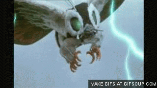 giphy.gif