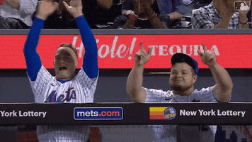Brandon Nimmo Celebration GIF by New York Mets