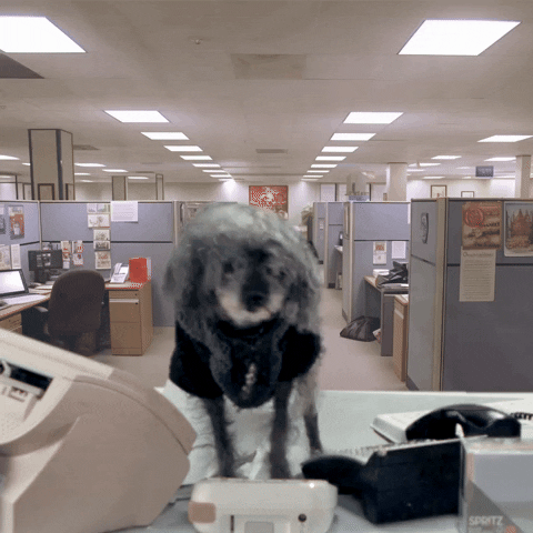 Dog Support GIF