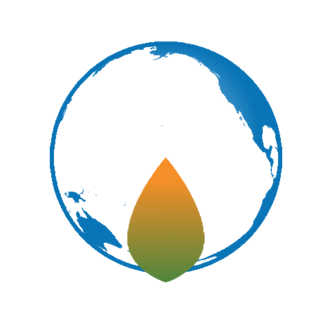 g20project Sticker