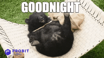 Good Night Reaction GIF by ProBit Global