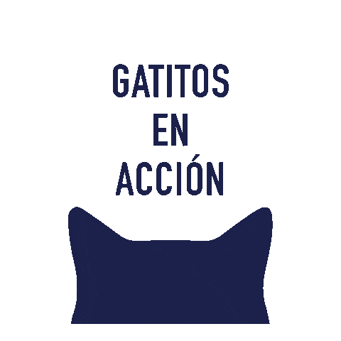 gatitosenaccion Sticker