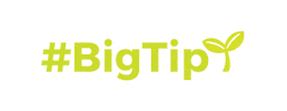 Bigseed Sticker
