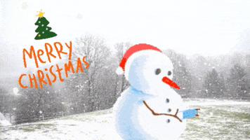 This Christmas GIF by Squirrel Monkey