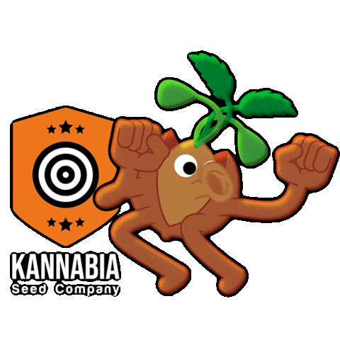 Kannabia Seeds Sticker