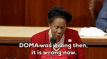 Marriage Equality Doma GIF by GIPHY News
