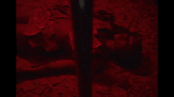 Trompe Loeil GIF by untiljapan