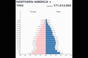 pyramid population GIF