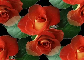 200.webp?cid=3640f6095be0ba66582f624c4d6