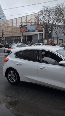 Paris GIF