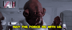 May The Force Be With You GIF