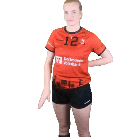 Sport Ball Sticker by TV Hörde