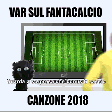 Var Cat GIF by Cat - crew Armando Testa