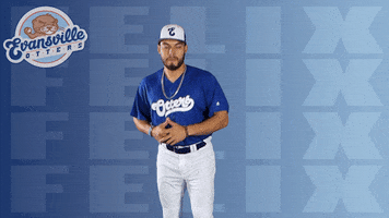 Baseball Punch GIF by Evansville Otters