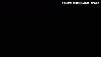 Like A Boss Reaction GIF by Polizei Rheinland-Pfalz