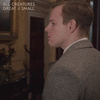 Yorkshire Tristan GIF by All Creatures Great And Small