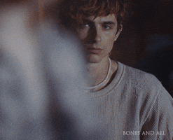 Timothee Chalamet Stare GIF by Bones and All