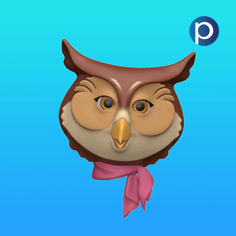 Owl Sowa GIF by Pracuj.pl