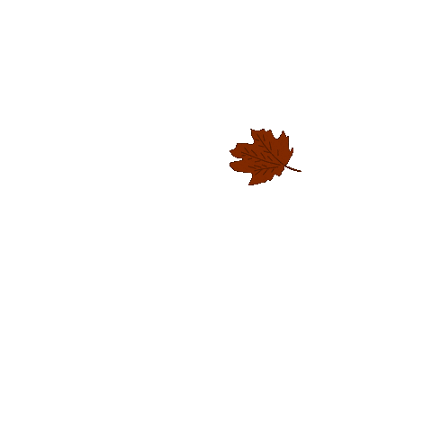 Animated Sticker