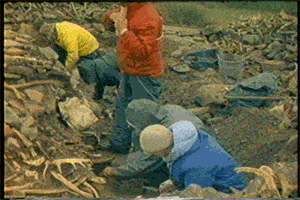 archaeology cmhgif GIF by Canadian Museum of History
