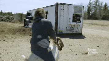 ride goat GIF by CBC