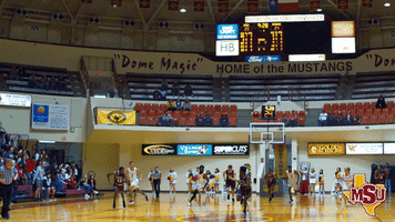 wichita falls basketball GIF by Midwestern State University
