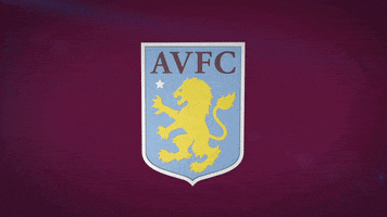 premier league football GIF by Aston Villa FC
