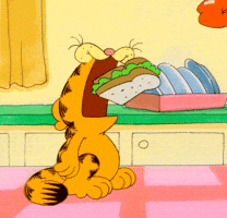 stream eating GIF by Garfield