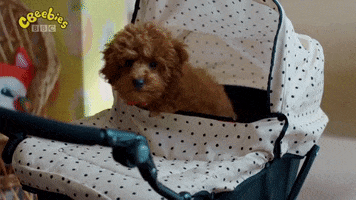 Tired Red Dog GIF by CBeebies HQ