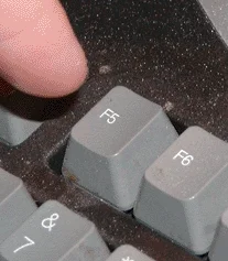 giphy.webp?cid=790b761160652a0c5bf453c8c