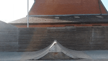 skateboard skill GIF