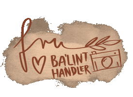 Fru Flowers&Design Sticker