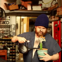 200.gif?cid=fc005b08a3d2c55e440271138941e55267bb74d68fe20bee&rid=200.gif&ct=g