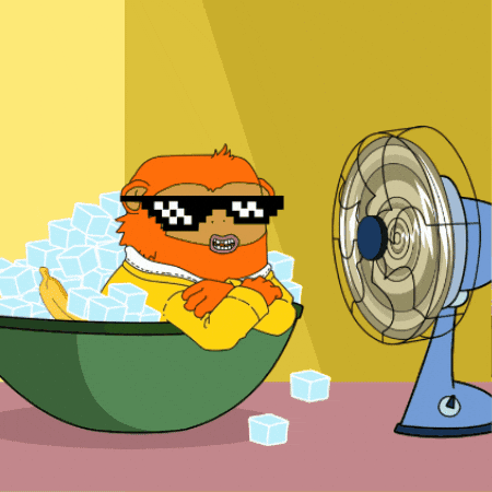 Summer Sunglasses GIF by MonkeesAreKey