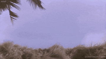 top secret surfers GIF