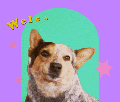 Video gif. A happy cattle dog smiles with their tongue hanging out against a pastel background. An arch of yellow text above his head reads, "Welcome back."
