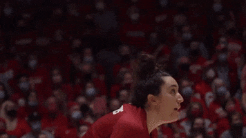 Happy Wisconsin Volleyball GIF by Wisconsin Badgers