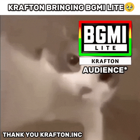 Pubg Lite GIF