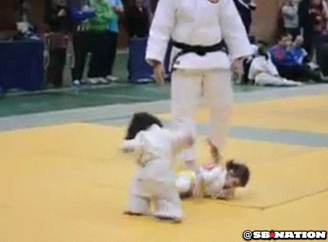 judo GIF